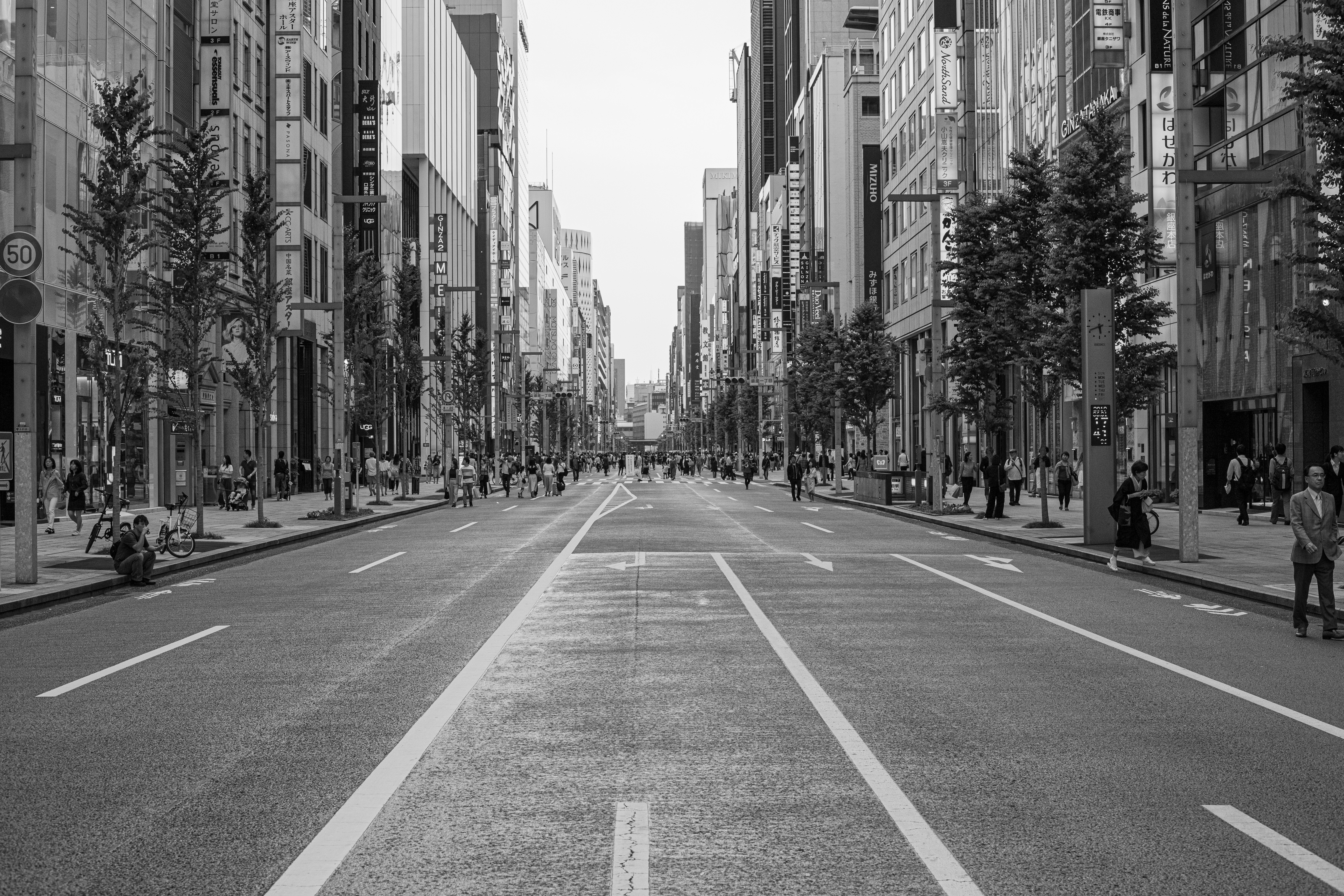 Avenue déserte